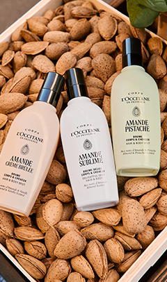 CHESTNUT HILL | L'Occitane en Provence